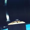 precious ring